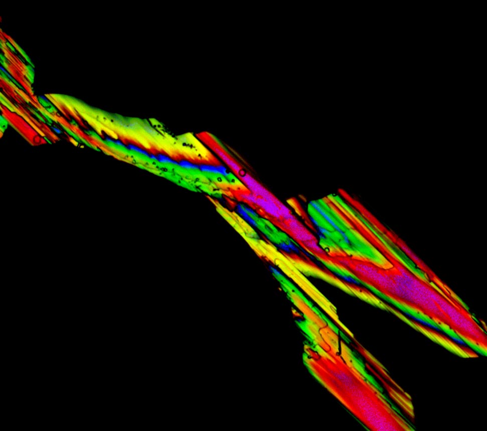 Dimethylglyoxime crystals in crossed polarizers with Eclipse E200 E Plan 40/0.65.